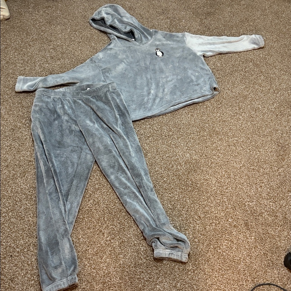 Cozy Gray Women's Hoodie and Pants Set